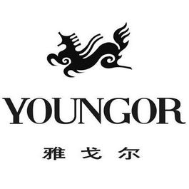雅戈尔集团股份有